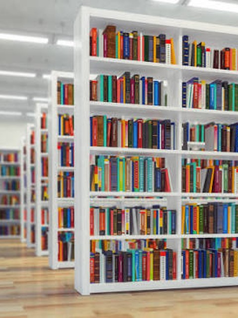 Federal University Lokoja Library shelves